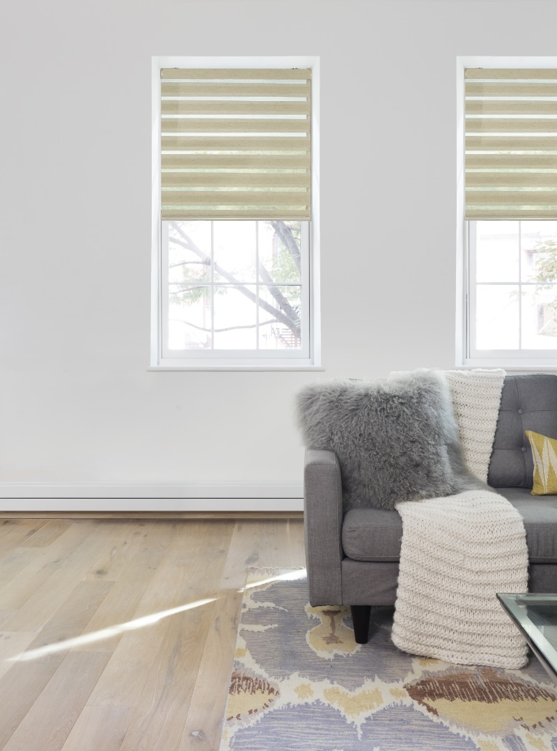 Transitional shades in a cozy living room